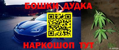 молекула духа Бийск