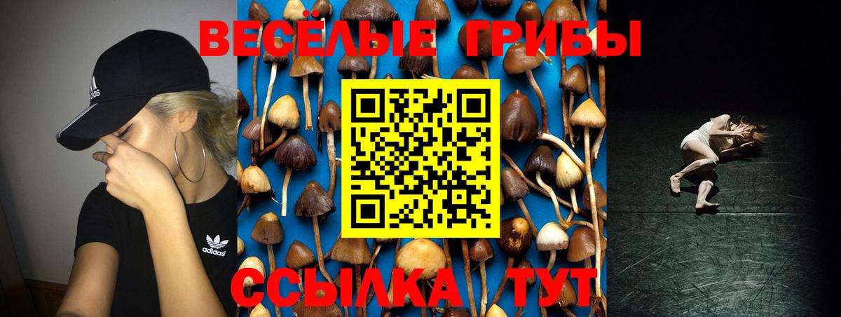 Казань  Псилоцибиновые грибы Psilocybe  Вход с VPN 